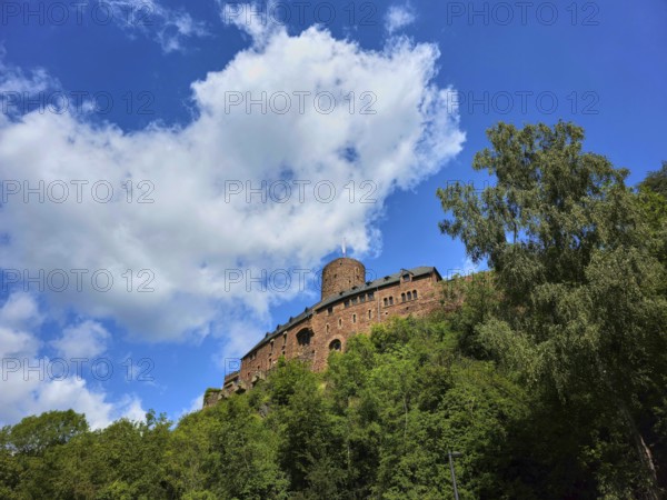 A medieval castle on a wooded hill under a blue sky with clouds, summer, Heimenbach, Simmerath, Eifel National Park, North Rhine-Westphalia, Germany