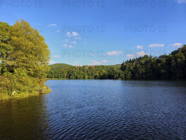 A calm lake with wooded shores and blue sky, summer, Rursee, Obersee, Simmerath, Eifel National Park, North Rhine-Westphalia, Germany