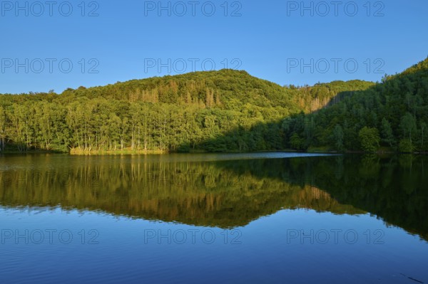 Forest reflection in a calm lake, surrounded by wooded hills, summer, Rursee, Obersee, Simmerath, Eifel National Park, North Rhine-Westphalia, Germany