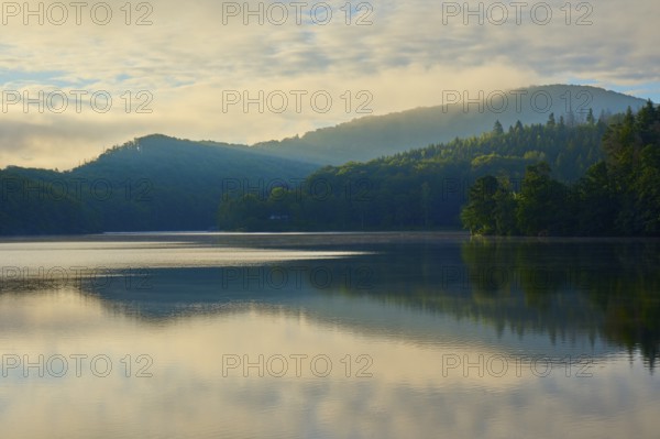 Calm lake with mountains in the background, dense forest and morning sun, gentle mist on the shore, summer, Rursee, Obersee, Rurberg, Simmerath, Eifel National Park, North Rhine-Westphalia, Germany