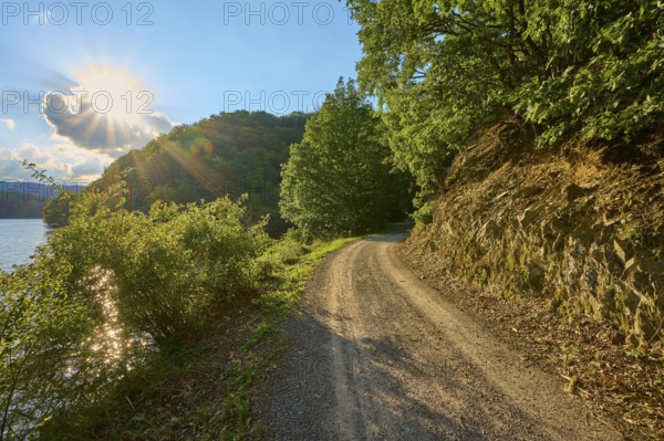 Sunlight shining through trees onto a forest path next to a rock face, summer, Rursee, Obersee, Simmerath, Eifel National Park, North Rhine-Westphalia, Germany