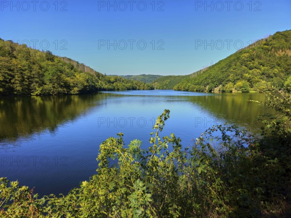 A quiet lake, surrounded by hills and forests under a blue sky, summer, Rursee, Obersee, Simmerath, Eifel National Park, North Rhine-Westphalia, Germany