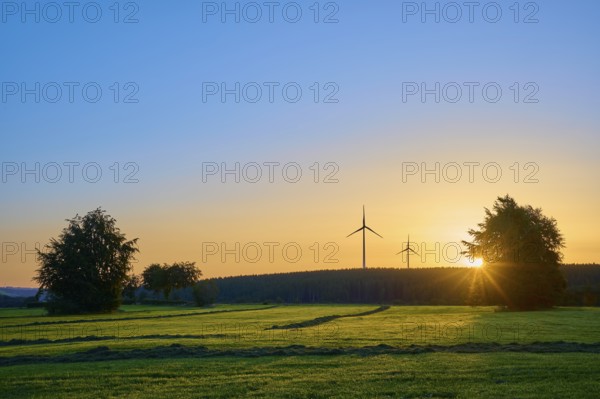 Wind turbines in a natural landscape at sunrise, with warm incidence of light, summer, Rohren, Monschau, Eifel, North Rhine-Westphalia, Germany