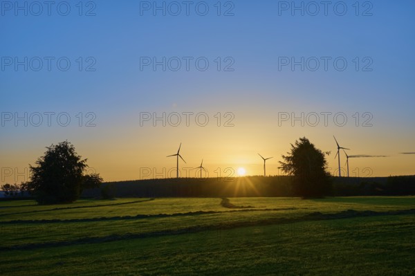 Sunrise, with windmills and trees on a green field, warm light, summer, Rohren, Monschau, Eifel, North Rhine-Westphalia, Germany