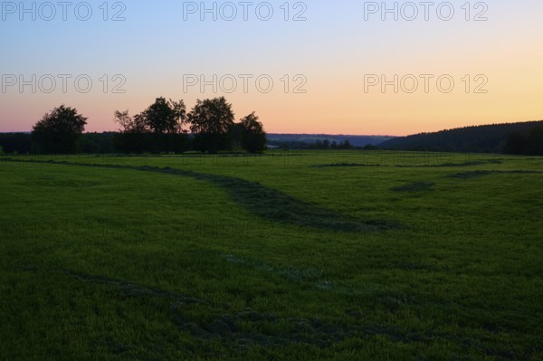 Green meadow at sunrise, with a colourful sky in the background, summer, Rohren, Monschau, Eifel, North Rhine-Westphalia, Germany