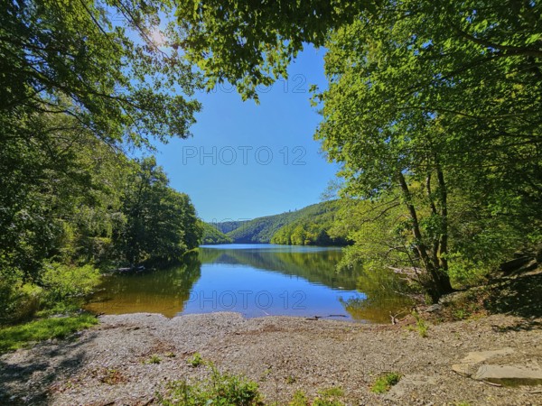 Clear water reflects wooded landscape under a bright sky, summer, Rursee, Obersee, Simmerath, Eifel National Park, North Rhine-Westphalia, Germany
