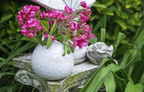 Rose blossoms in a white vase, North Rhine-Westphalia, Germany