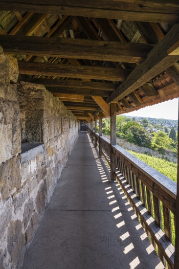 The Seilergang, historic defence wall, viewpoint, Esslingen Castle, Esslingen am Neckar, Esslingen district, Baden-WÃ¼rttemberg, Germany