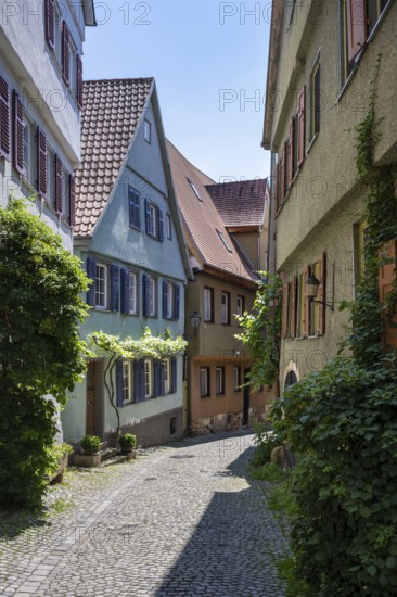 Historic row of houses, Altstadtgasse, lower Beutau, also known as WeingÃ¤rtnerviertel in the old town of Esslingen, Esslingen am Neckar, district of Esslingen, Baden-WÃ¼rttemberg, Germany