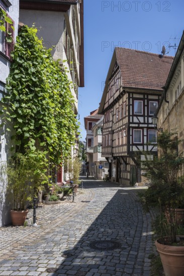 Germany's oldest half-timbered house in Webergasse, built in 1266, 1267, Esslingen am Neckar, Esslingen district, Baden-WÃ¼rttemberg, Germany