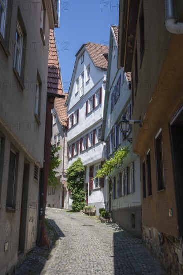 Historic row of houses, Altstadtgasse, upper Beutau, also known as WeingÃ¤rtnerviertel in the old town of Esslingen, Esslingen am Neckar, district of Esslingen, Baden-WÃ¼rttemberg, Germany