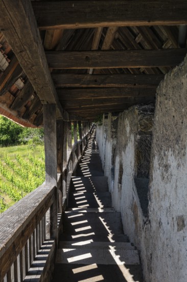 View down to the staircase with 340 steps to the Seilergang, historic defence wall of Esslingen Castle, Esslingen am Neckar, district of Esslingen, Baden-WÃ¼rttemberg, Germany