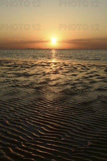 Sunset over the Wadden Sea on the German North Sea coast, low sun over Neuwerk, typical ripple mudflats at low tide, Lower Saxony Wadden Sea National Park, Lower Saxony, Germany, atmospheric picture, native nature, landscape, North Sea near Cuxhaven, Duhnen, Western Europe