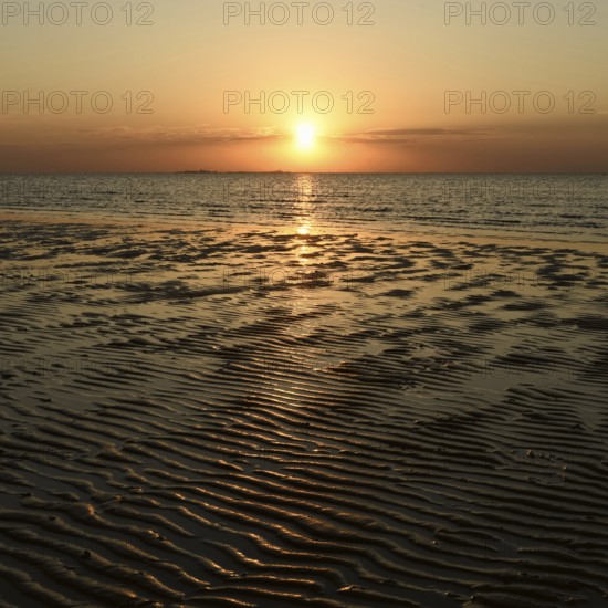 Sunset over the Wadden Sea on the German North Sea coast, low sun over Neuwerk, typical ripple mudflats at low tide, Lower Saxony Wadden Sea National Park, Lower Saxony, Germany, atmospheric picture, native nature, landscape, North Sea near Cuxhaven, Duhnen, Western Europe