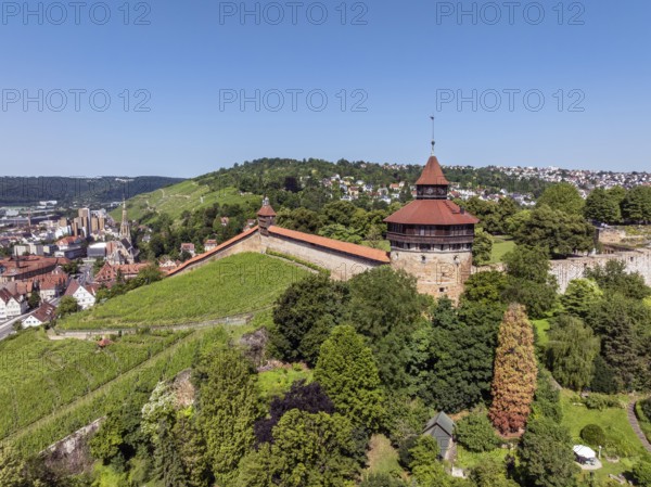 Aerial view of the city of Esslingen am Neckar with Esslingen Castle, Dicker Turm, Seilergang and vineyard, district of Esslingen, Baden-WÃ¼rttemberg, Germany