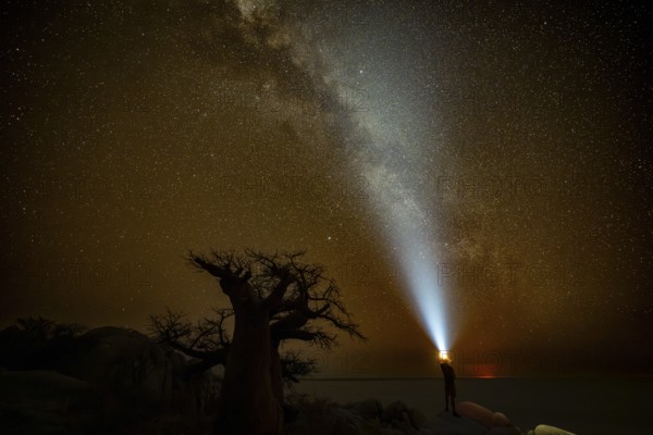 Young man shines torch into the sky, silhouette of a baobab tree with starry sky and Milky Way, red moonrise on the horizon, African baobab (Adansonia digitata), night shot, Kubu Island (Lekubu), Sowa Pan, Makgadikgadi salt pans, Botswana