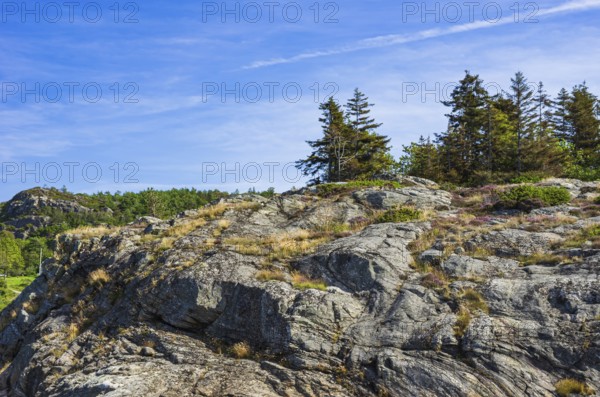 Wooded coastal landscape of granite rocks in the archipelago near Lysekil, BohuslÃ¤n, VÃ¤stra Götalands lÃ¤n, Sweden, Scandinavia