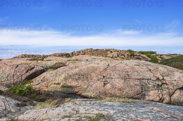 Rocky landscape of Bohusgranite on the coast of Lysekil, BohuslÃ¤n, VÃ¤stra Götalands lÃ¤n, Sweden, Scandinavia
