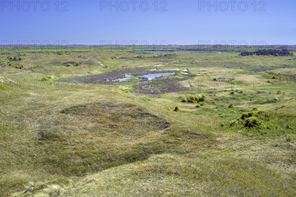 View from Bertusnol over dunes at De Nederlanden, part of nature reserve De Muy in the Nationaal Park Duinen van Texel, North Holland, Netherlands