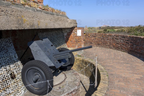 Pak 36, Panzerabwehrkanone 36, German anti-tank gun at Saltzwedel-neu Battery, Raversyde Atlantikwall, Atlantic Wall, Raversijde, Flanders, Belgium