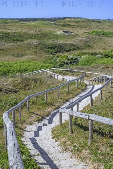 View from Bertusnol over dunes at De Nederlanden, part of nature reserve De Muy in the Nationaal Park Duinen van Texel, North Holland, Netherlands