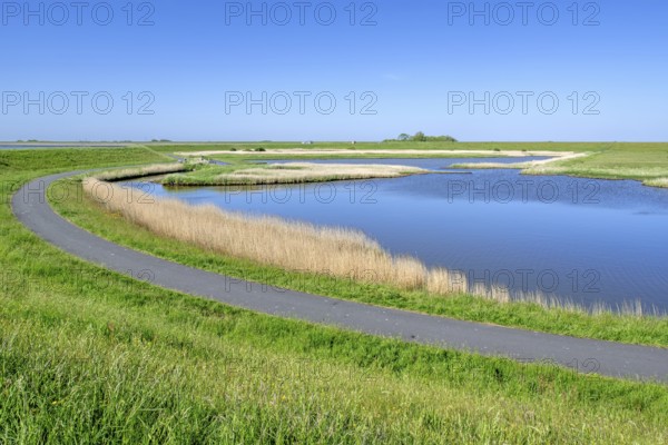 Path and pond in brackish polder at nature reserve Zandkes from Natuurmonumenten near Dijkmanshuizen on the island Texel, North Holland, Netherlands