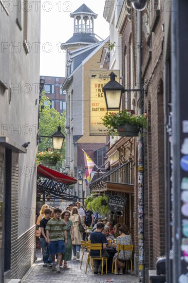 Old town centre of Utrecht, Drieharingstraat, alley, very narrow alley, side alleyway with gastronomy, restaurants, pubs, Netherlands