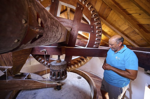 Man looking at the wooden gears of a windmill, Windmill, Antimacheia, Kos, Dodecanese, Greek Islands, Greece