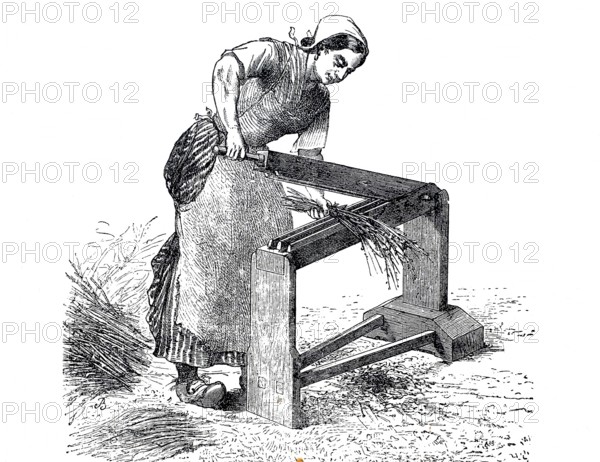 Textile industry, spinning mill, woman working on a ribbon crusher for flax, around 1880, digitally enhanced reproduction of a 19th century model, historical, exact date unknown