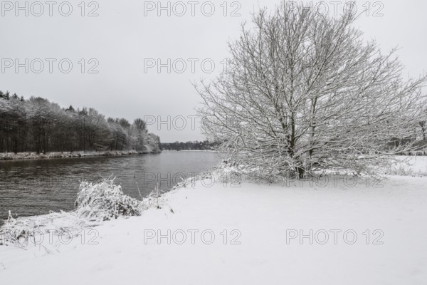 Winter landscape on the Ems, Emsland, Lower Saxony, Germany