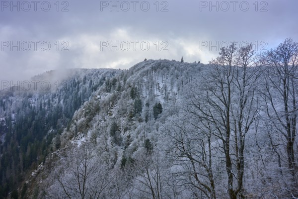Frosty treetops above a wooded hill with thick clouds, winter, Col de la Schlucht, Le Valtin, Vosges, France