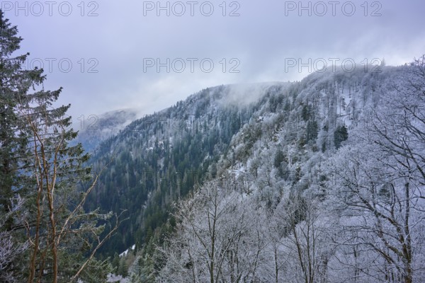 Mist-covered mountain range with frost-covered forest in winter, Col de la Schlucht, Le Valtin, Vosges, France