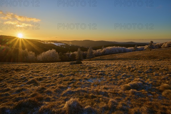 Golden sunlight gently bathes a frosty hilly landscape in warmth, winter, Route de Cretes, Hohneck, La Bresse, Vosges, France
