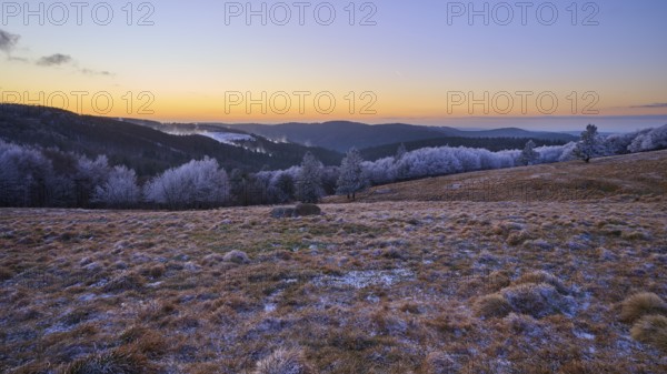 Snowy hills at dusk with soft lighting and peaceful atmosphere, winter, Route de Cretes, Hohneck, La Bresse, Vosges, France