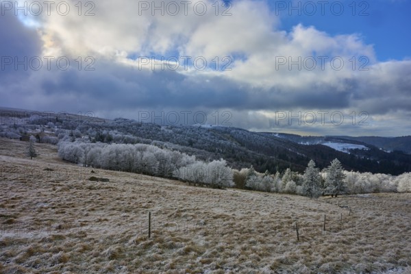 Wintery landscape with snow-covered trees and dramatically cloudy sky, winter, Route de Cretes, Hohneck, La Bresse, Vosges, France