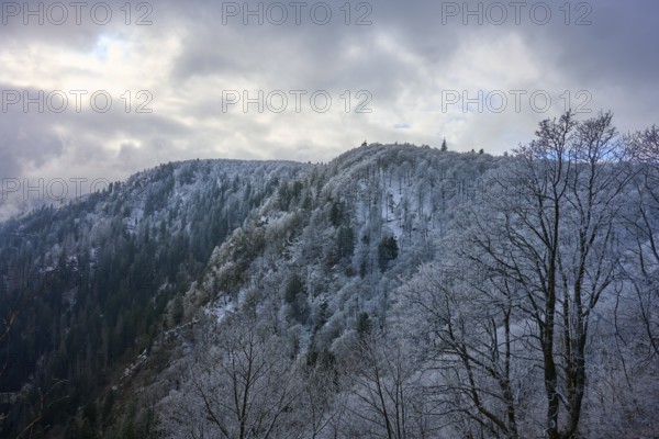 Frost-covered forest hills under partly cloudy winter sky, winter, Col de la Schlucht, Le Valtin, Vosges, France