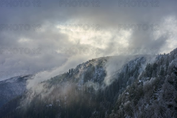 Snowy hills in fog and frosty forest under overcast sky, winter, Col de la Schlucht, Le Valtin, Vosges, France