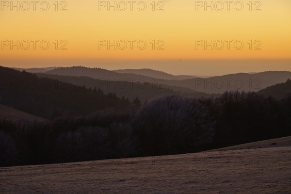 Rolling hills in evening light, silhouettes of trees standing out against the orange sky, winter, Route de Cretes, Hohneck, La Bresse, Vosges, France