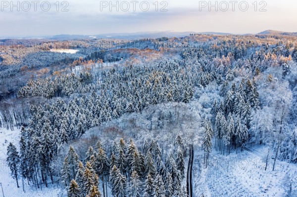 Hankenberge, Hilter am Teutoburg Forest, Lower Saxony, Germany, vast winter landscape with snow-covered trees and rolling hills, aerial view, drone shot