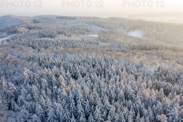 Hankenberge, Hilter am Teutoburger Wald, Lower Saxony, Germany, snowy forest at sunrise, a quiet and peaceful winter landscape, aerial view, drone shot