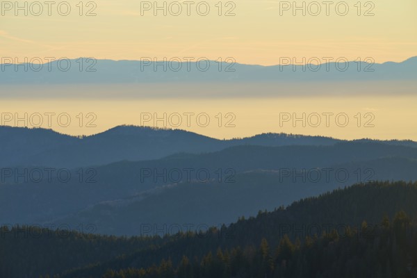 Different altitudes of the mountains in soft morning light, looking towards the Rhine Valley, Hohneck, La Bresse, Vosges, France