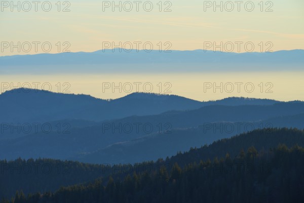 Blue-tinted mountain landscape in morning haze with calm colors, view of the Rhine Valley, Hohneck, La Bresse, Vosges, France