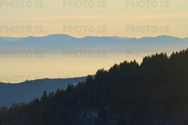 Wooded mountain slopes in morning fog with harmonious colors, view of the Rhine Valley, Hohneck, La Bresse, Vosges, France