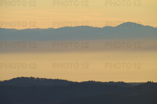 Morning haze over mountain hills in soft colors, looking towards the Rhine Valley, Hohneck, La Bresse, Vosges, France
