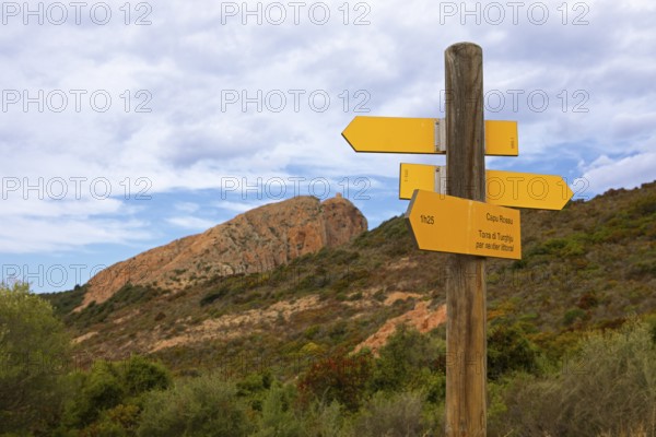 Guide to Capo Rosso, Corse-du-Sud Department, Corsica, France