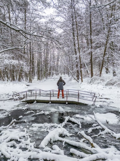 Aerial view, drone photo: Man hiking standing on a bridge over the Briese river in the forest in winter, landscape dammed by beavers, Briesetal, Barnim nature park Park, Brandenburg, Germany
