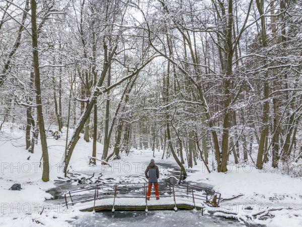 Aerial view, drone photo: Man hiking standing on a bridge over the Briese river in the forest in winter, landscape dammed by beavers, Briesetal, Barnim nature park Park, Brandenburg, Germany