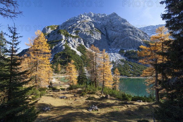 Seebensee in autumn, Tajakopf, Alps, Tyrol, Austria