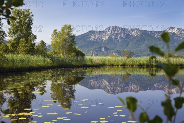 Höllsee with Herzogstand and Heimgarten, moor, pond, Loisach Lake Kochel moss, Upper Bavaria, Germany