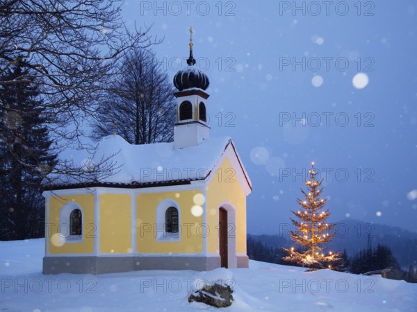 Maria Rast chapel with Christmas tree during snowfall, Christmas, Krün, Upper Bavaria, Germany